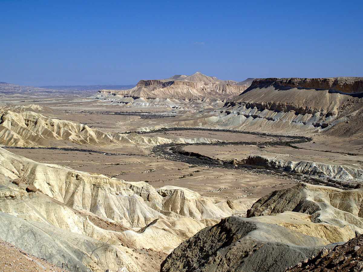 Zin_Valley_in_the_Negev_Desert_of_Israel_2